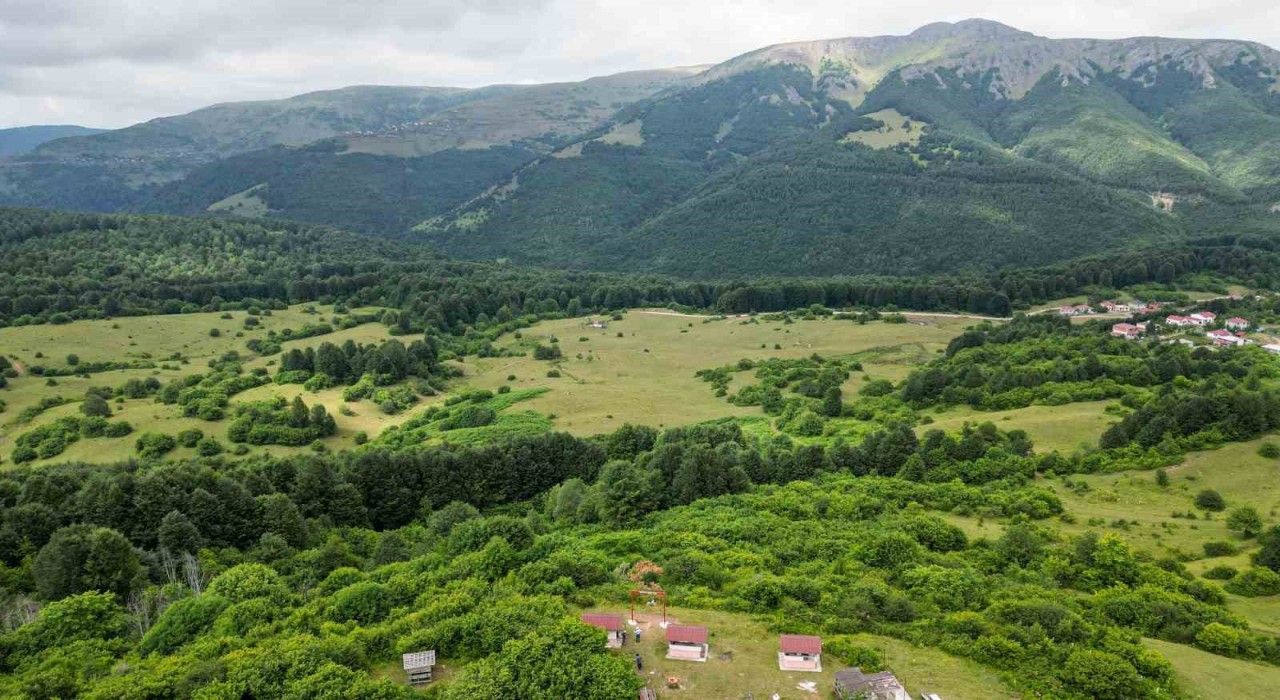 Alpleri andıran manzarasıyla Cimban Yaylası ziyaretçileri mest ediyor