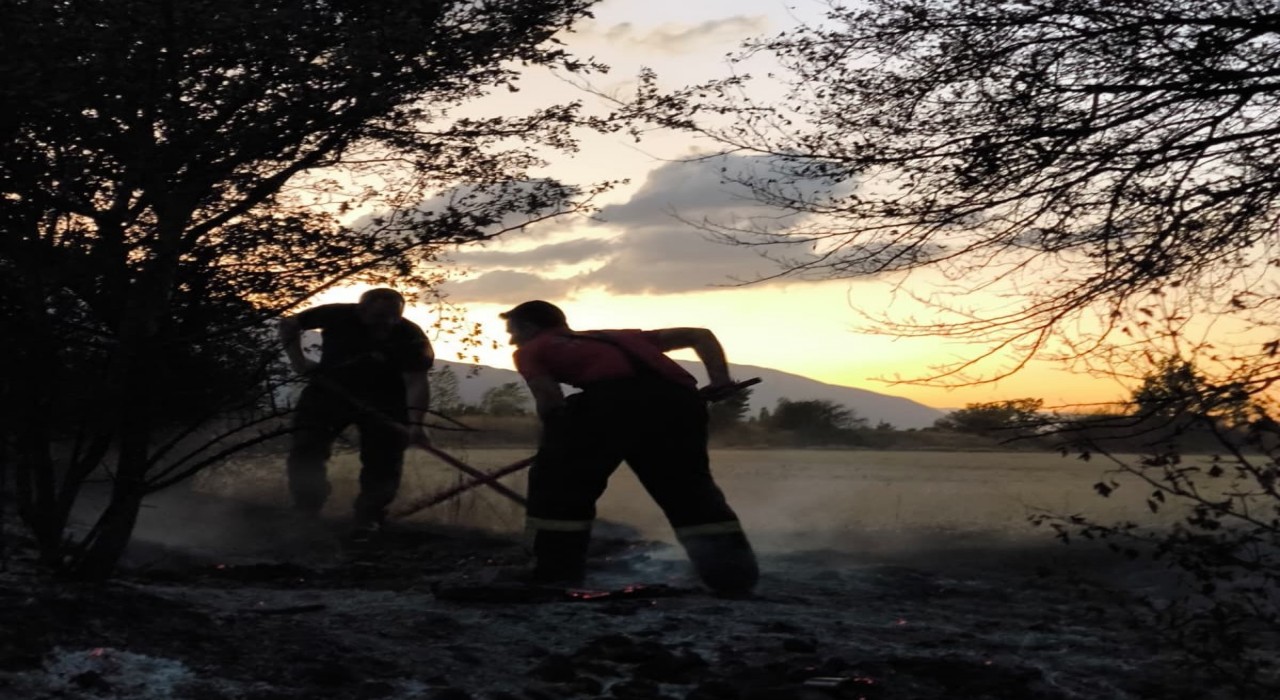 Anız yangını itfaiyenin müdahalesiyle söndürüldü