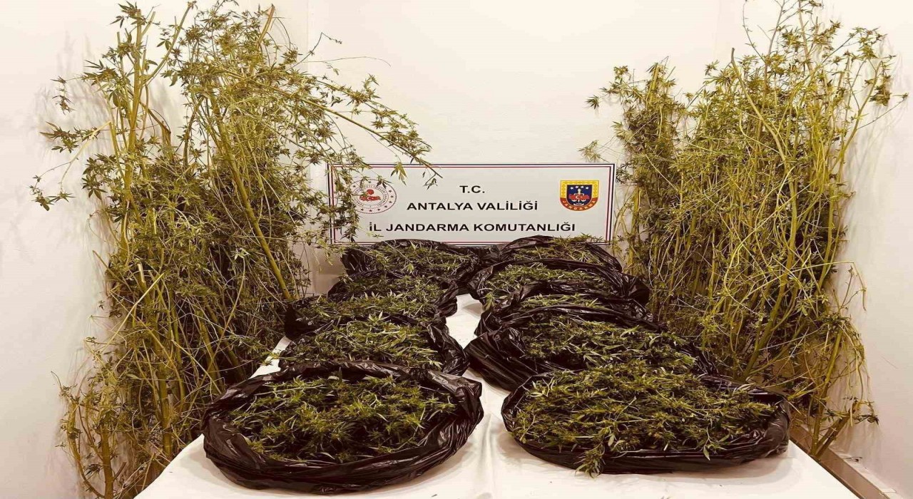 Antalyada 53 kilo uyuşturucu ele geçirildi