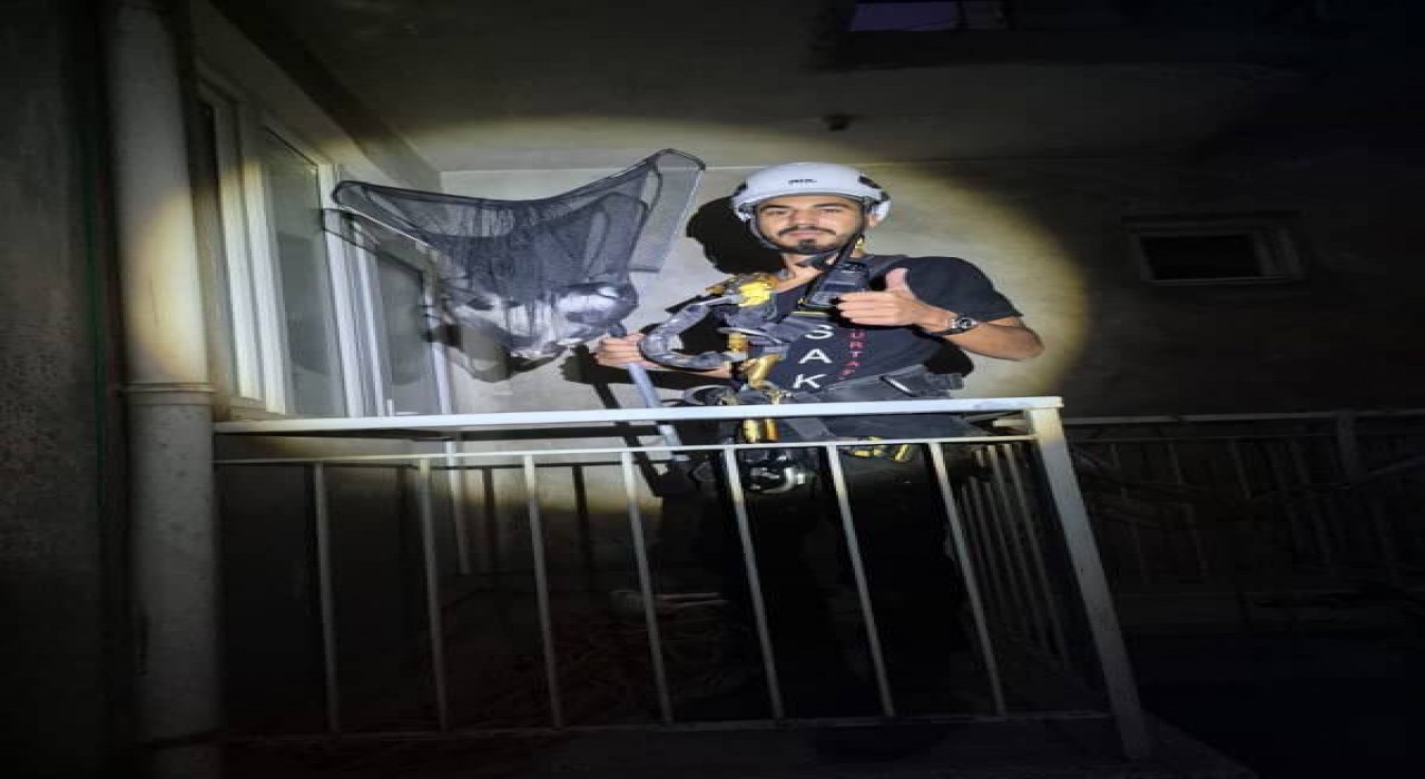 Apartman boşluğunda mahsur kalan yavru kedi kurtarıldı