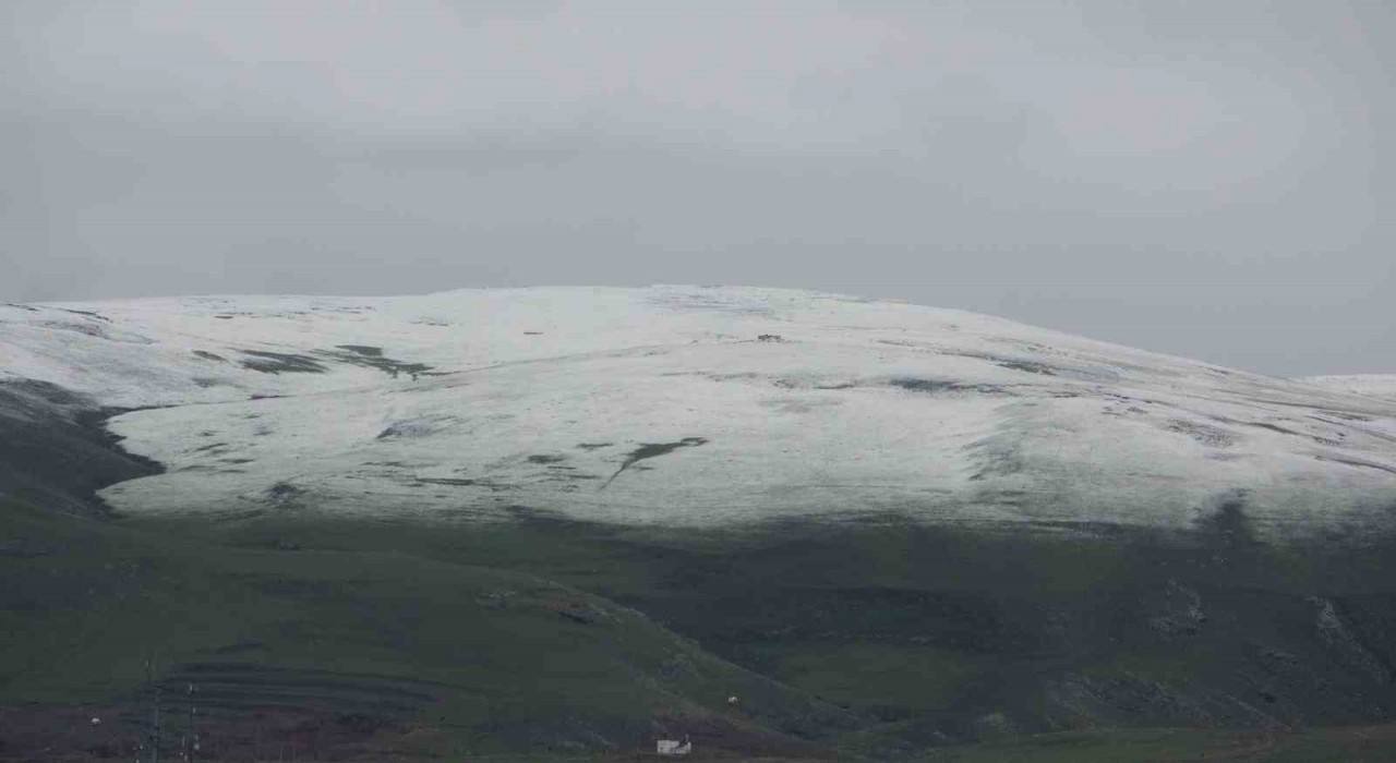 Ardahanda yüksek kesimler beyaza büründü