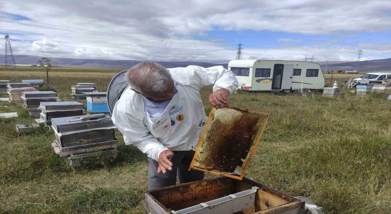 Arıcılar Birliği Başkanı Evliyaoğlu: Arıcılıkta sonbahar bakımı ve kışlatma çok önemli