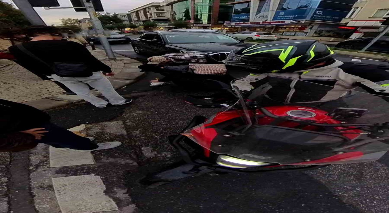 Ataşehirde direğe çarpan martı kalp masajıyla hayata döndü