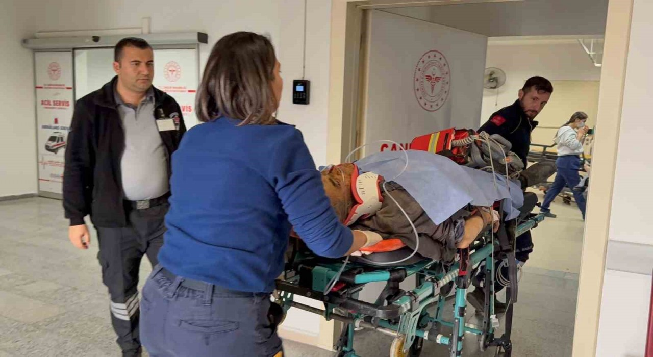 Aydınlatma direğine çarpan otomobil hurdaya döndü: 1 ölü, 1 yaralı