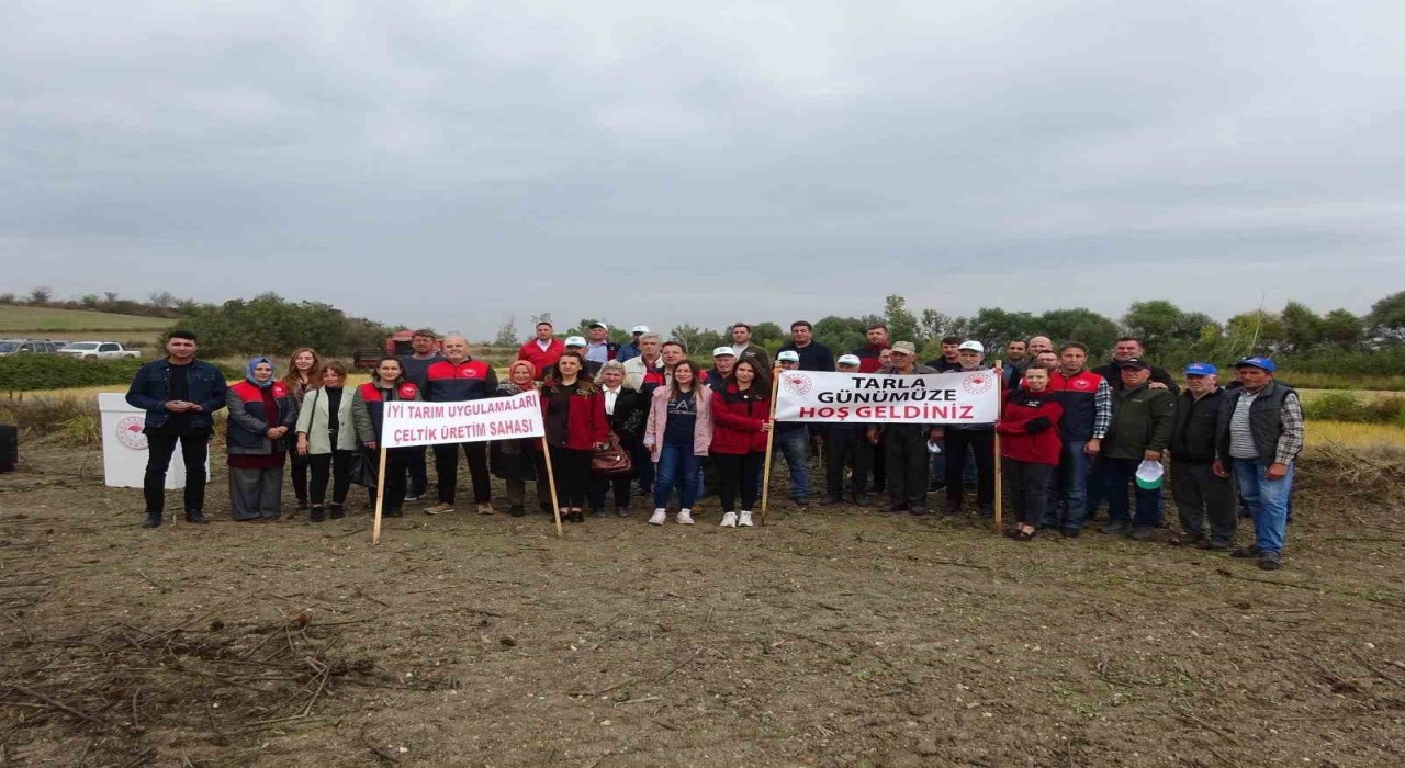 Babaeskide Çeltik Tarla Günü etkinliği düzenlendi