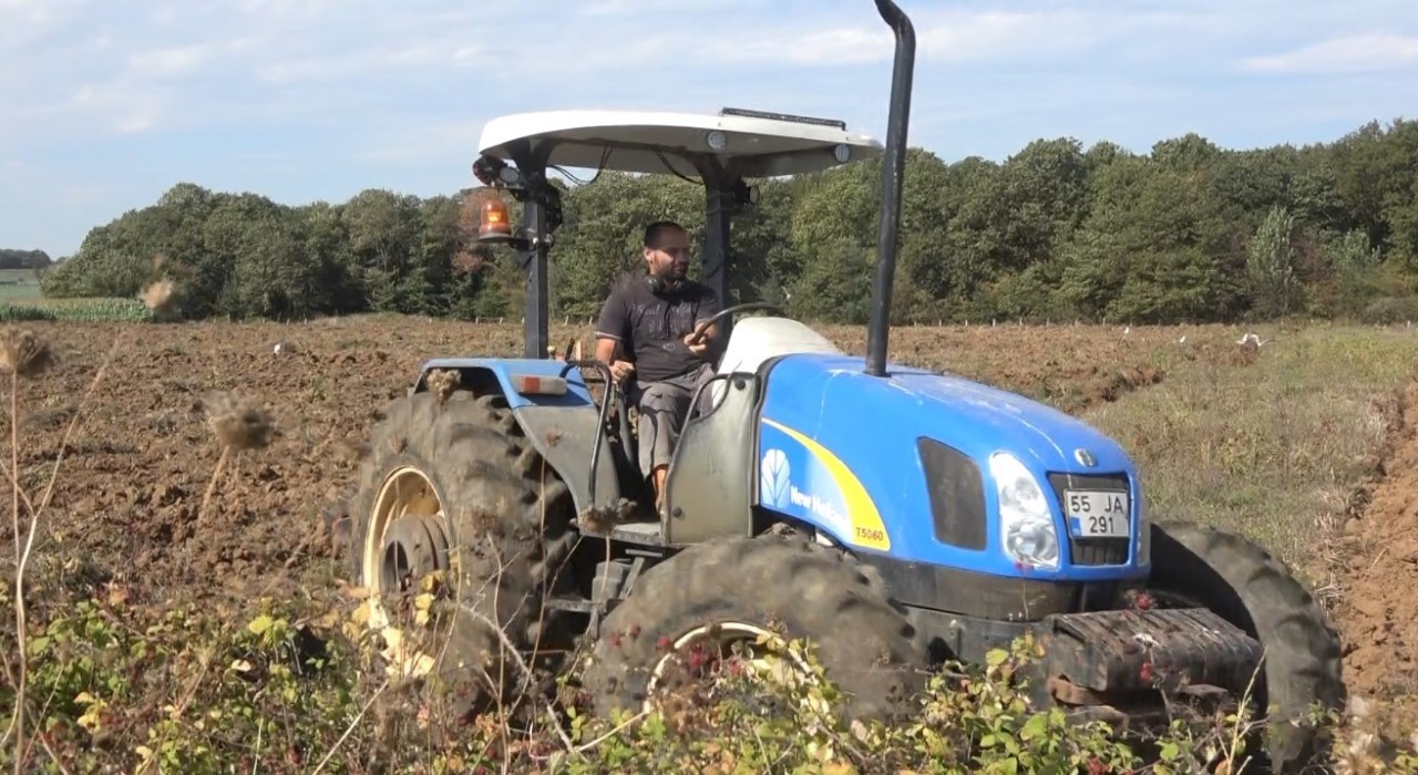 Bafra Ovasında 100 bin dekarlık alanda kışlık sebze ekimi başladı