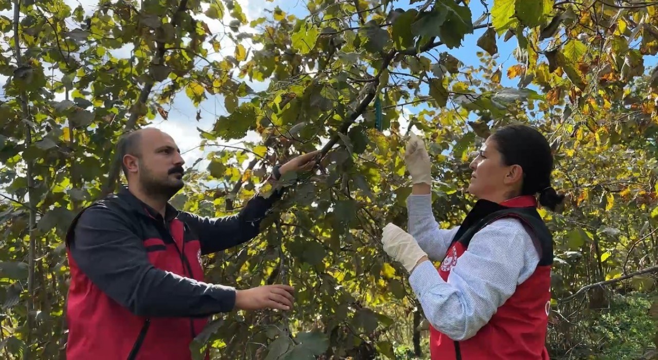 Bakan Yumaklı: Zararlıya karşı 1 milyon 156 bin doğal düşman samuray arısı salımı yaptık