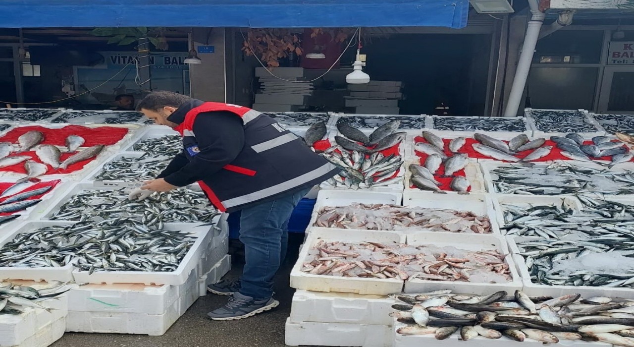 Balık tezgahları denetlendi