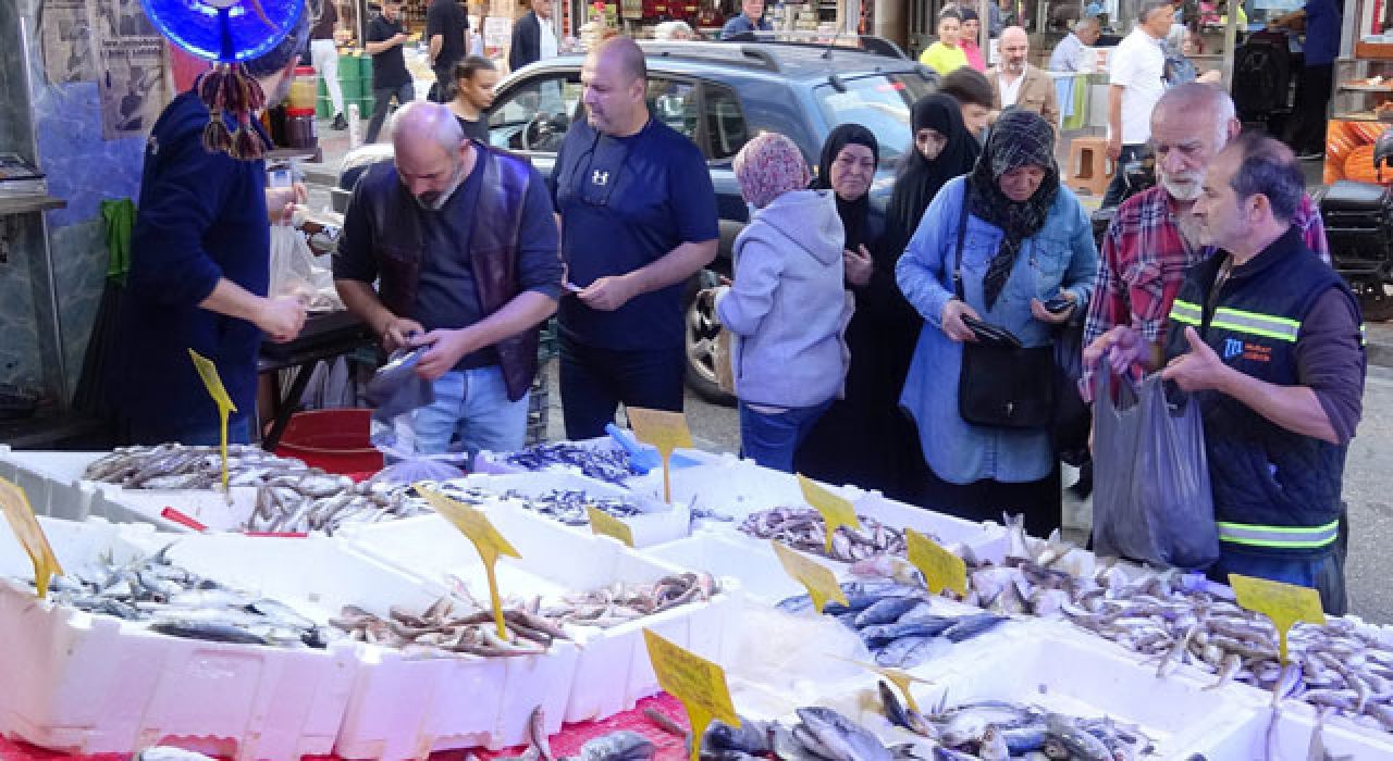 Balık Tezgahlarında Hamsi Bolluğu Yaşanıyor