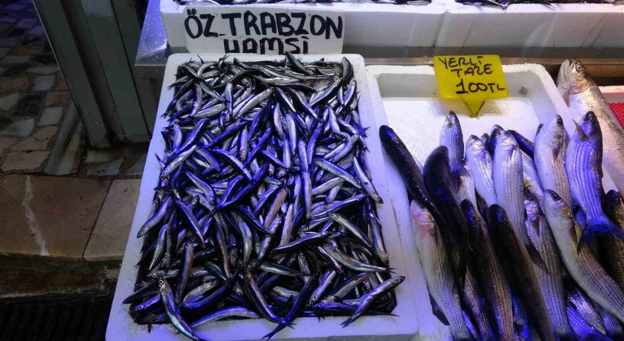 Balıkçılardan Patlatılan insansız deniz araçları hamsiyi kaçırttı iddiası