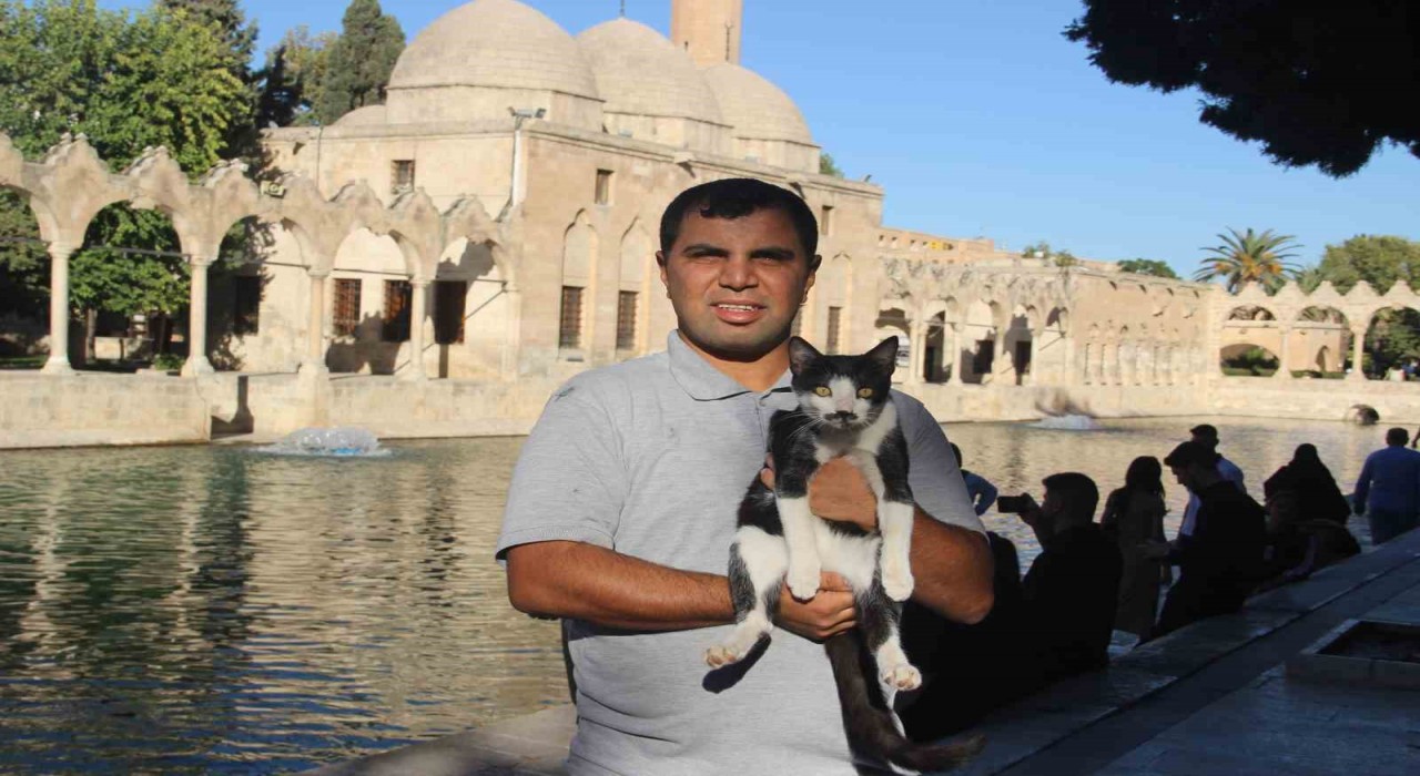 Balıklıgöle düşen kedi kalp masajıyla hayata döndü