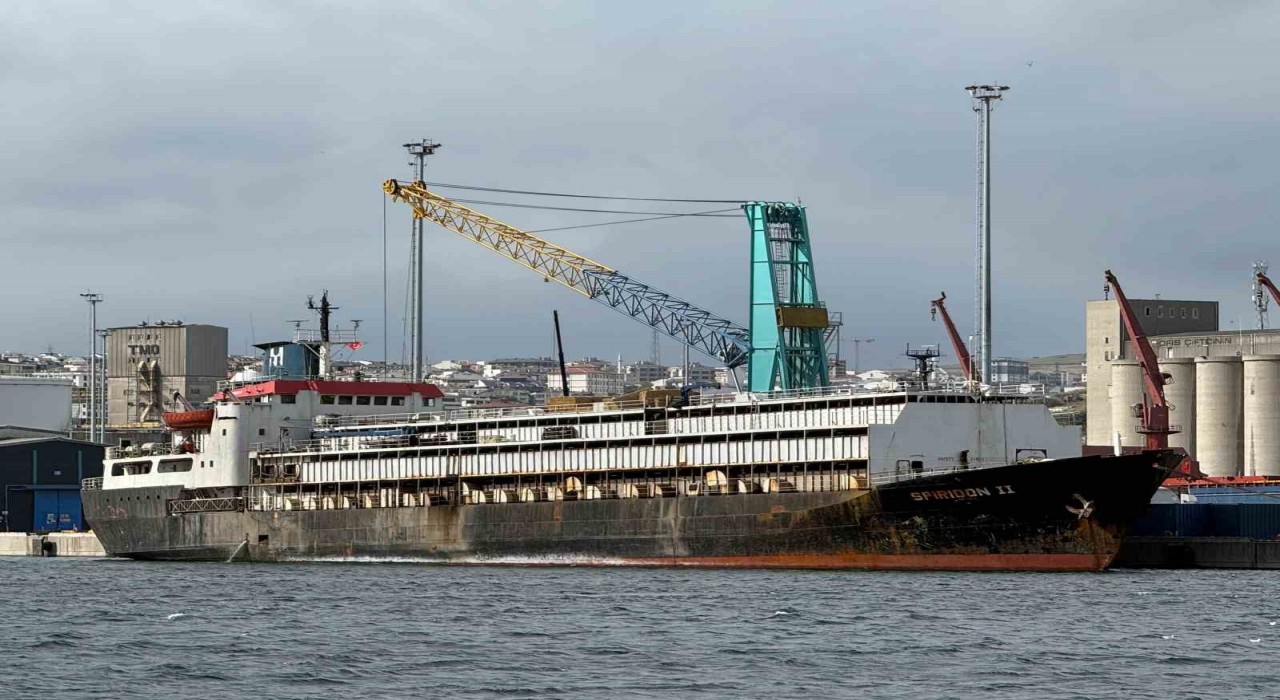 Bandırma Limanında Spiridon-II krizi: İthal hayvanlar günlerdir limanda mahsur