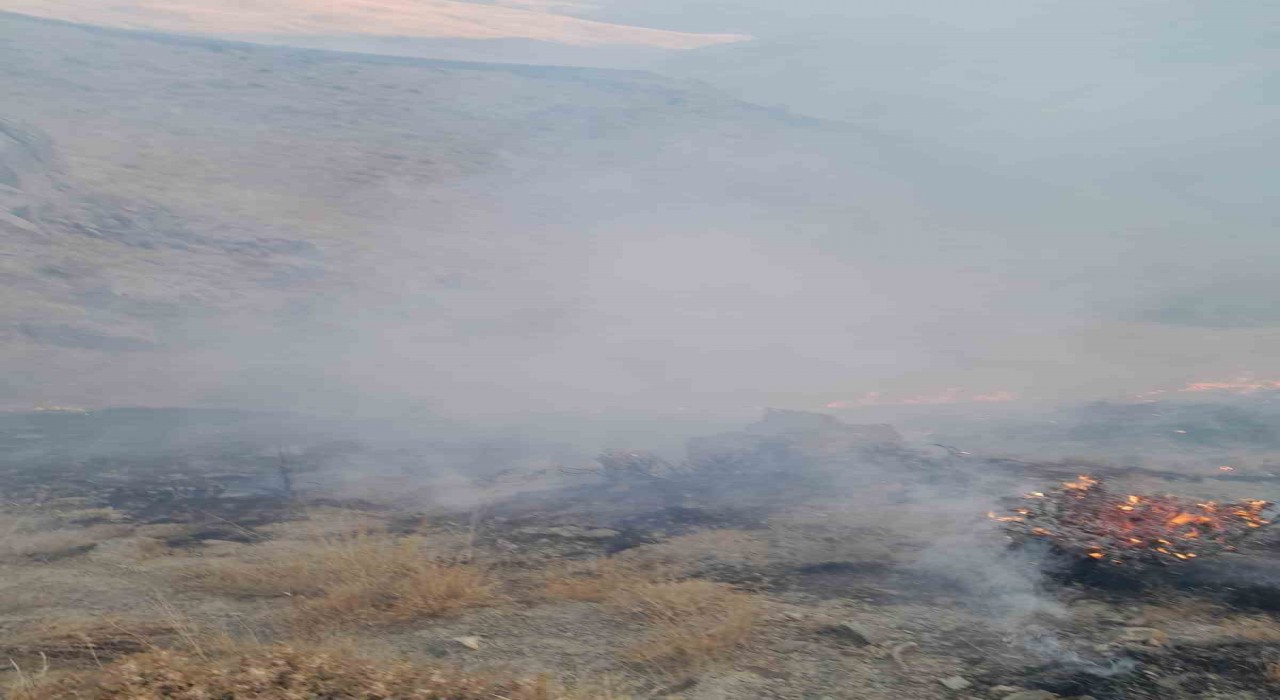 Başkalede anız yangını