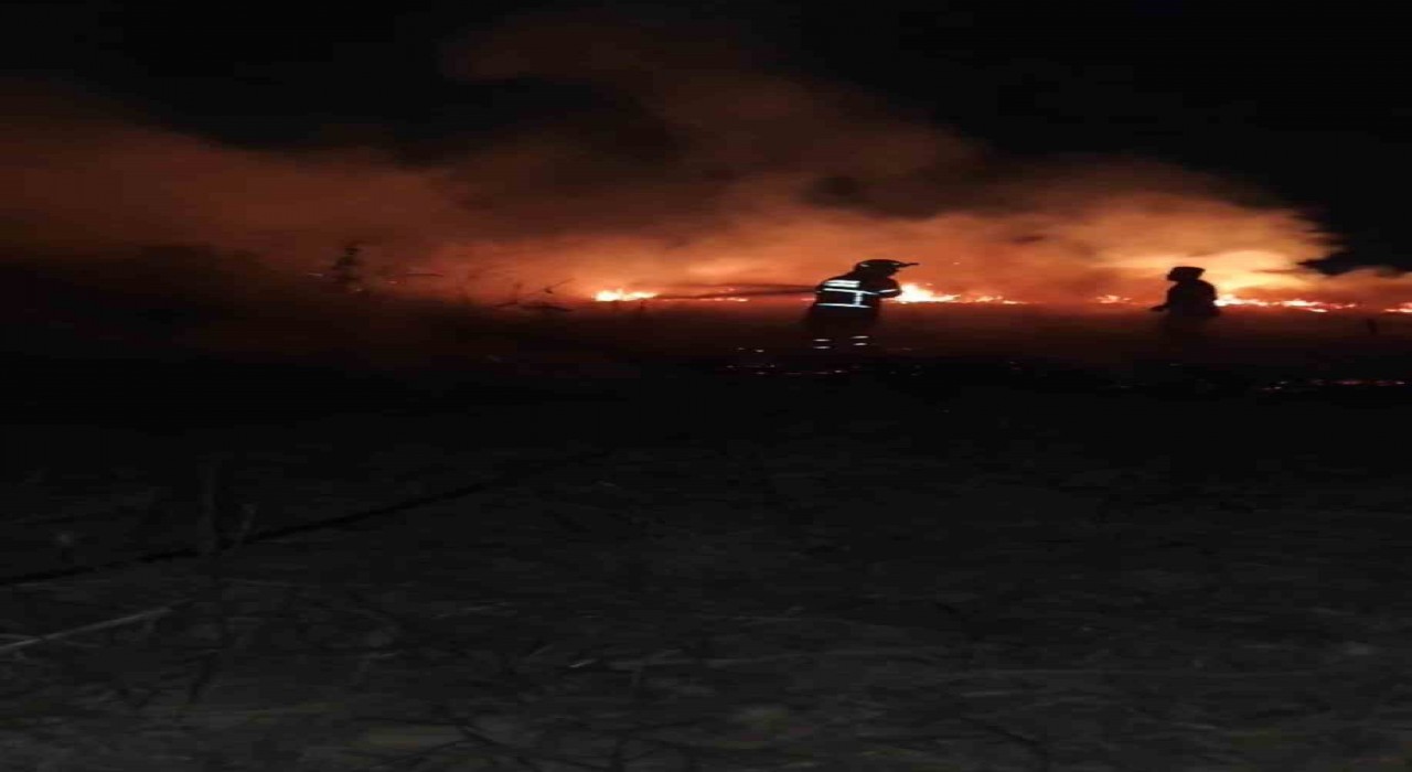 Batmanda anız yangını: 30 dönümlük alan kül oldu