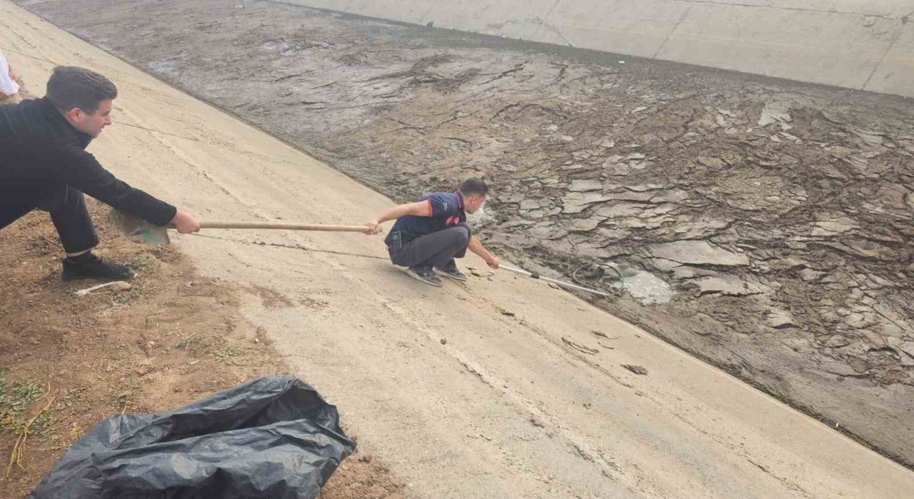 Batmanda kanala düşen köpek, itfaiye ekiplerince kurtarıldı