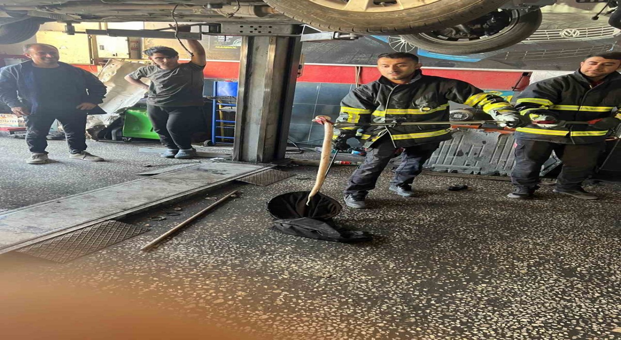 Batmanda otomobilin motoruna giren yılan itfaiyeyle ekiplerince çıkartıldı