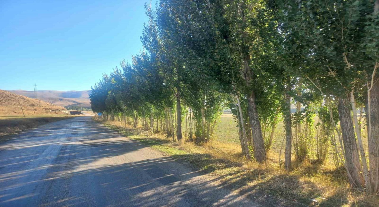 Bayburtlu vatandaştan DSİye tepki: Hiçbir gerekçe göstermeden fidanlarımızı katletmek istiyorlar