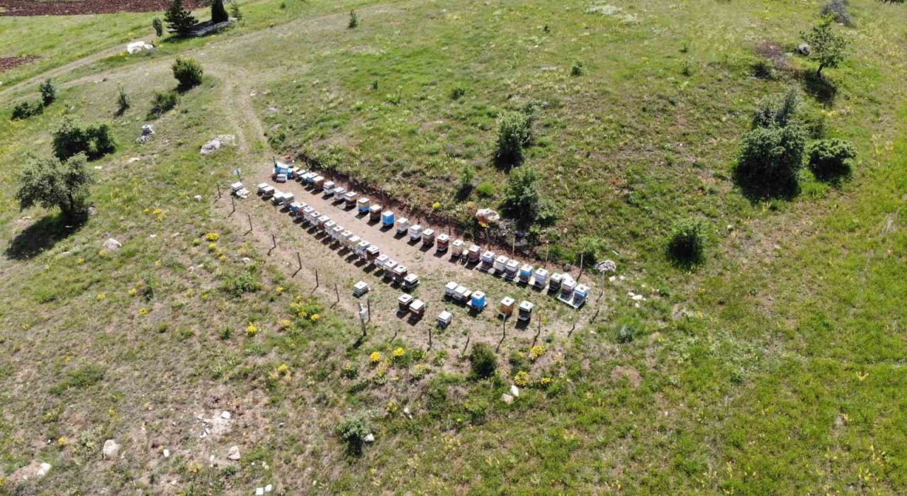 Bayburtta arılı kovan destekleme müracaatları başladı