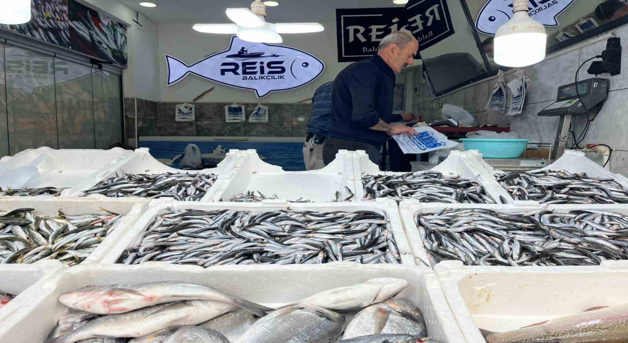 Bayburtta balıklar tezgâhlarda yerini aldı