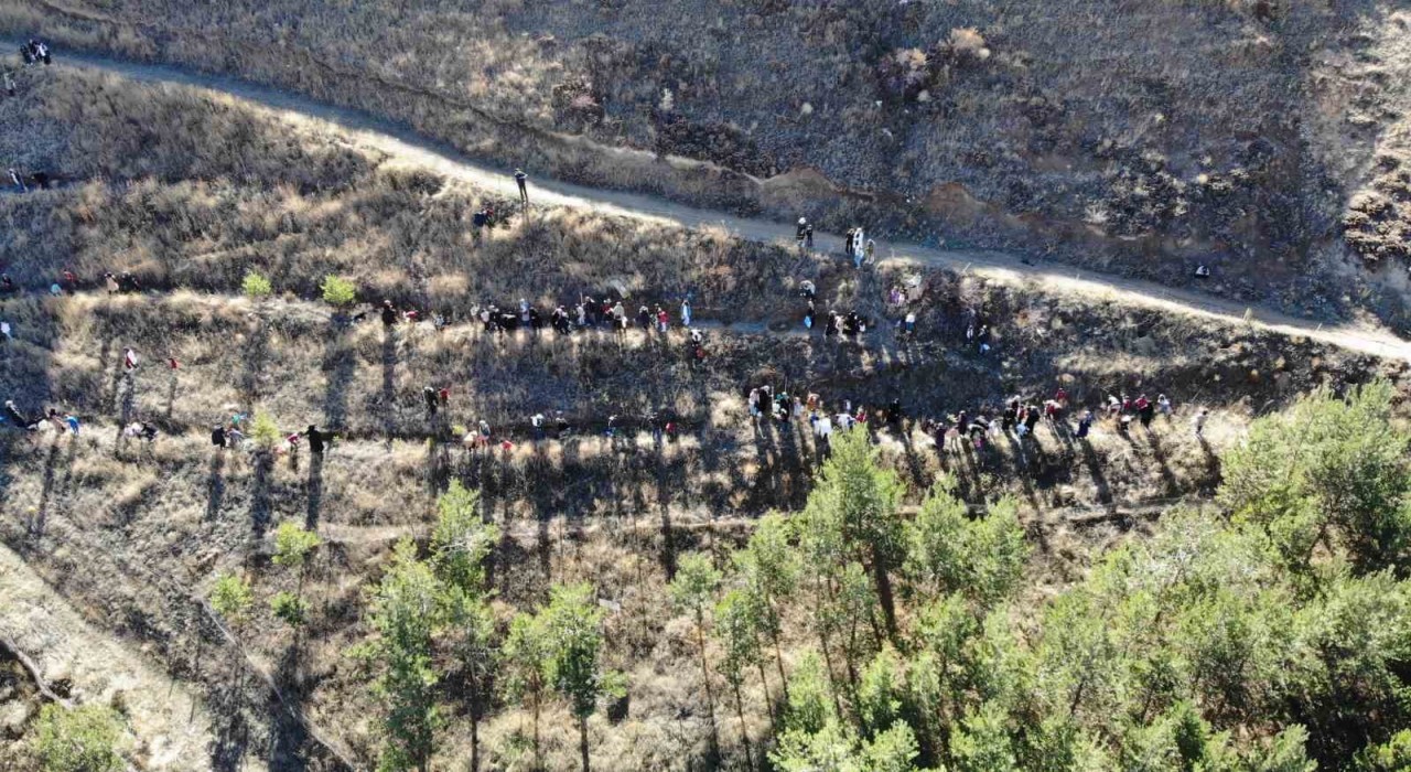 Bayburtta minik eller ‘Yeşil Vatan için fidan dikti