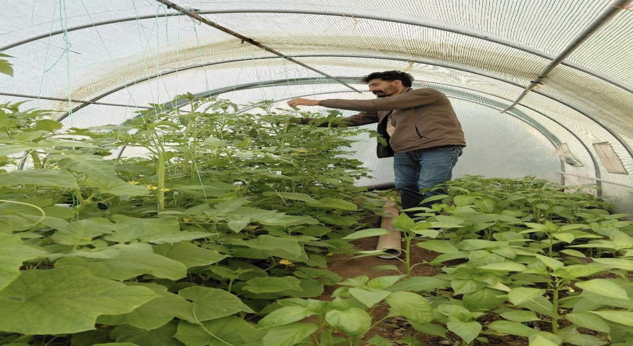 Berberlikten arta kalan zamanını doğaya ayırıyor