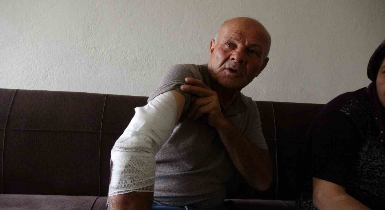 Beslemek istediği köpek saldırdı, koluna 10dan fazla dikiş atıldı