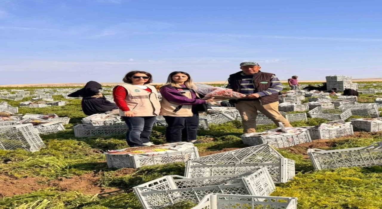 Beypazarında gıda güvenliği denetimleri aralıksız sürüyor