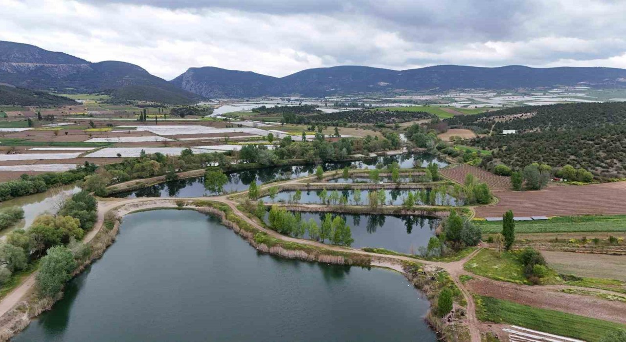Bilecikin ilk sulak alanı Beşgöller koruma altında