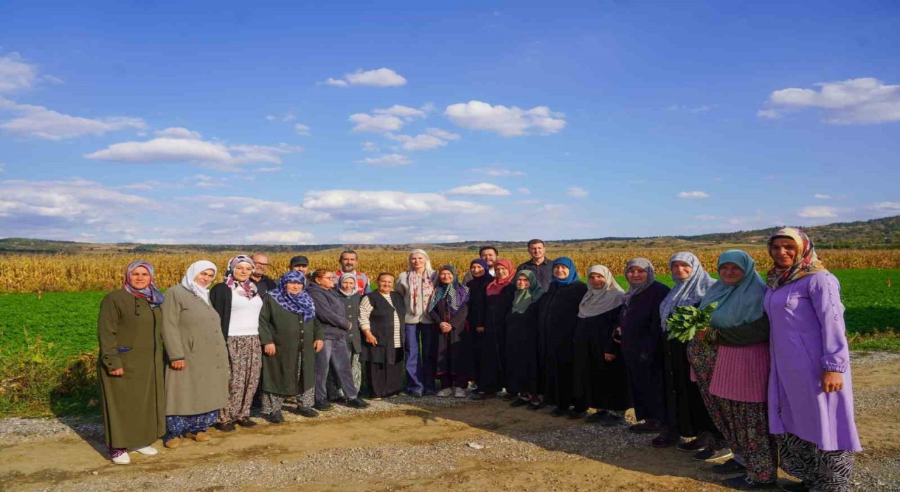 Bilecikte dağıtılan sebze fidelerinin hasadını yapıldı