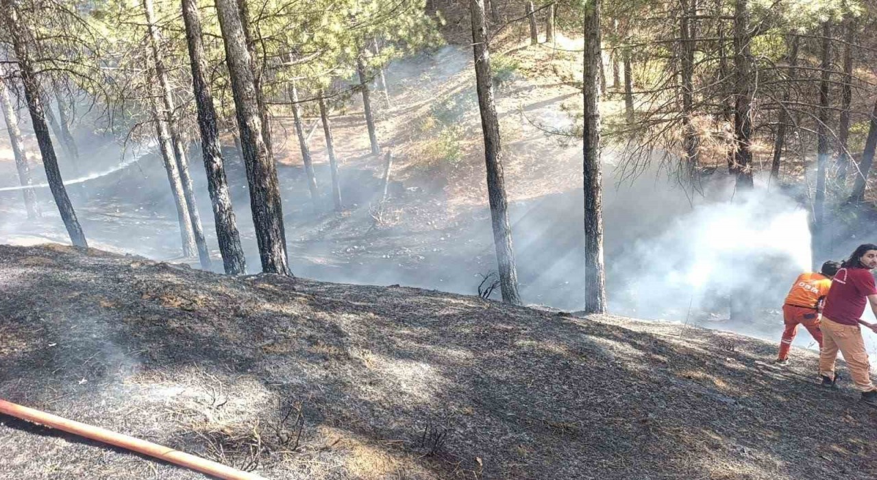 Bingölde çıkan orman yangını büyümeden söndürüldü