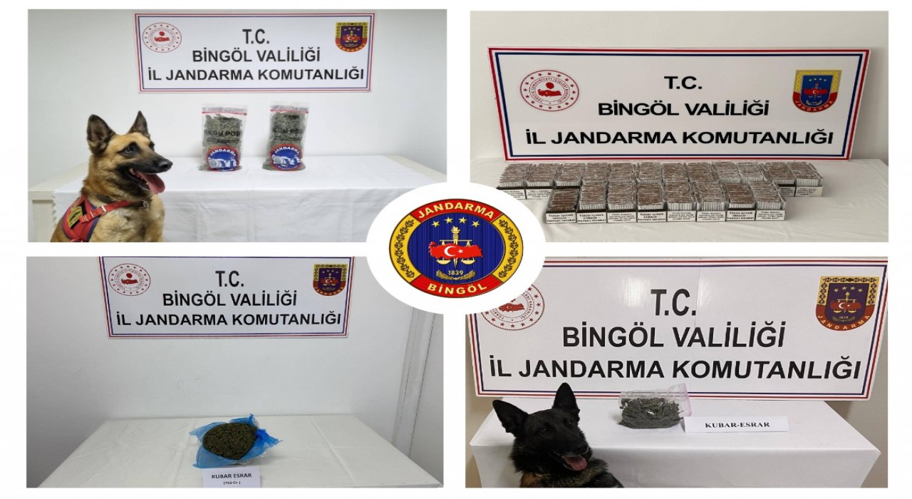 Bingölde jandarma ekipleri huzur ve güven için sahada