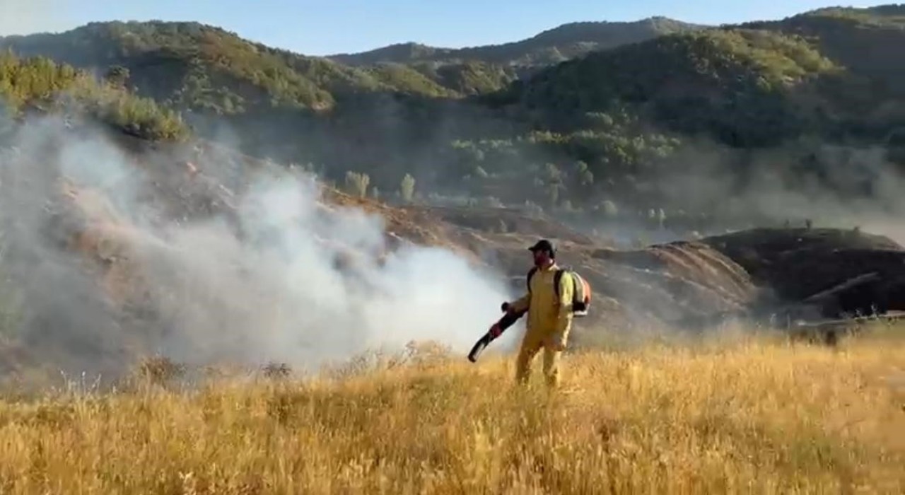 Bingöldeki orman yangını kontrol altına alındı