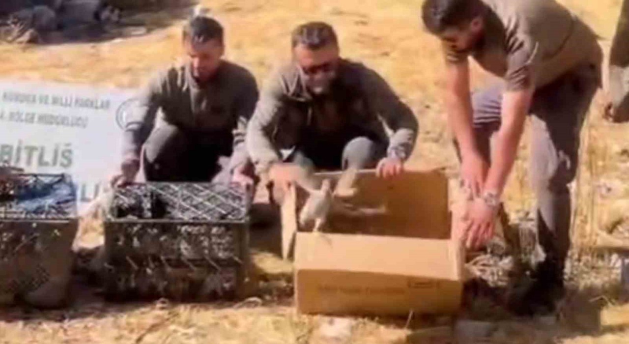 Bitliste Keklik ticaretine geçit verilmedi