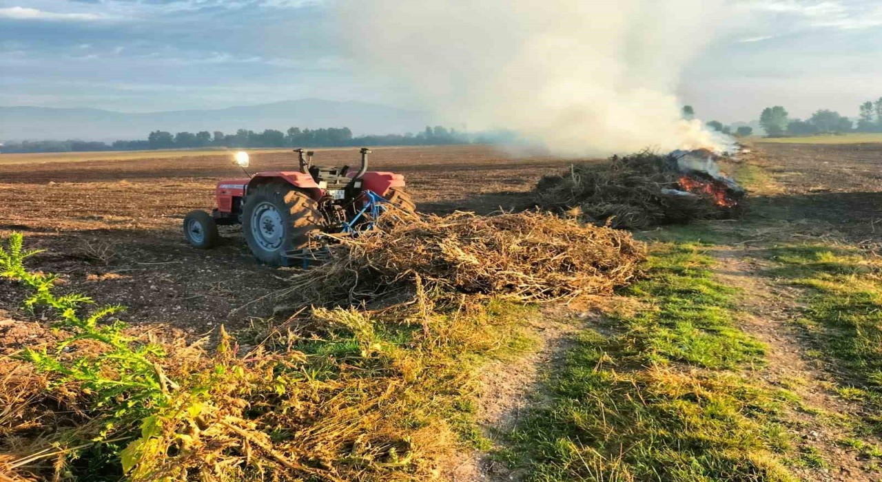 Boluda anız yakana hapis ve para cezası var
