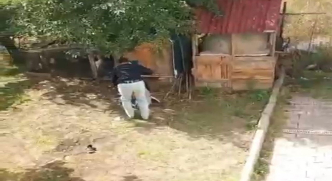 Boluda bir şahıs annesini ve kız kardeşini darbetti