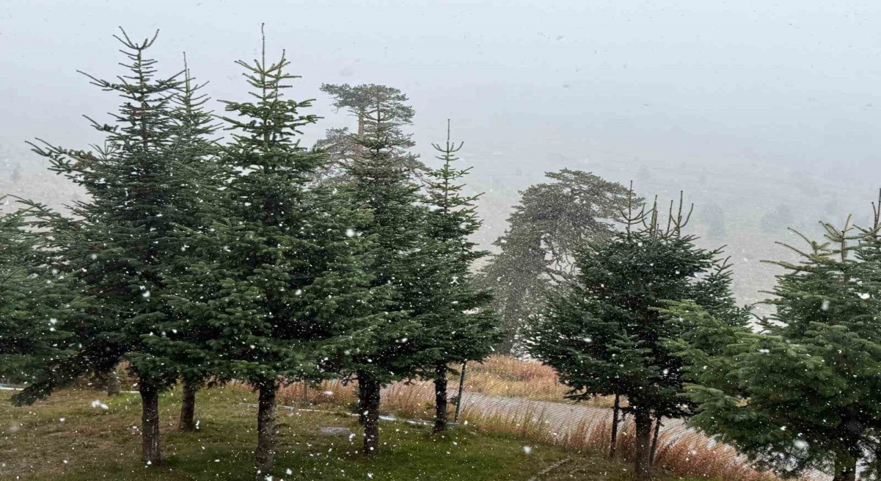 Boluda mevsimin ilk karı yağdı