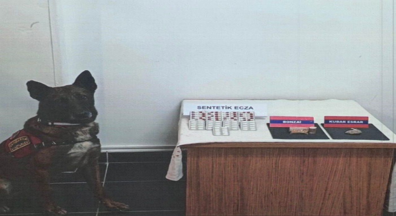 Boluda şüpheli araçta uyuşturucu maddeler ele geçirildi: 1 gözaltı