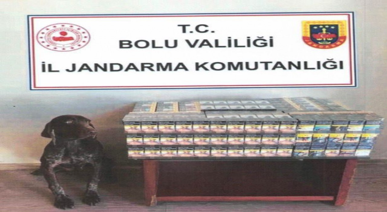Boluda yolcu otobüsünde kaçak sigara ele geçirildi
