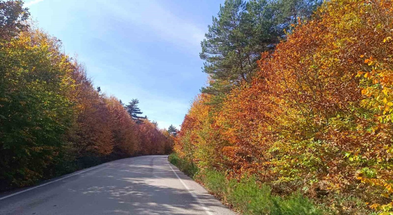 Bozcaarmutda sonbahar büyüsü