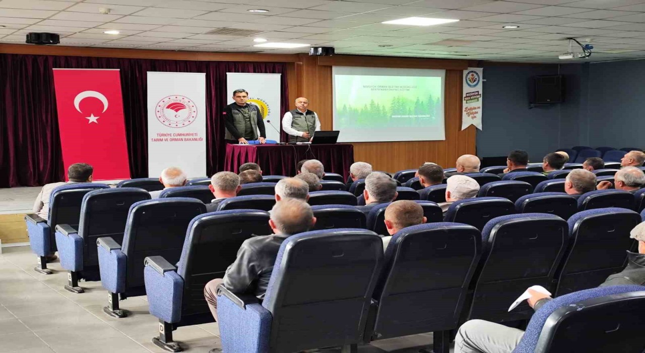 Bozüyük ormanları sertifikalandırılıyor