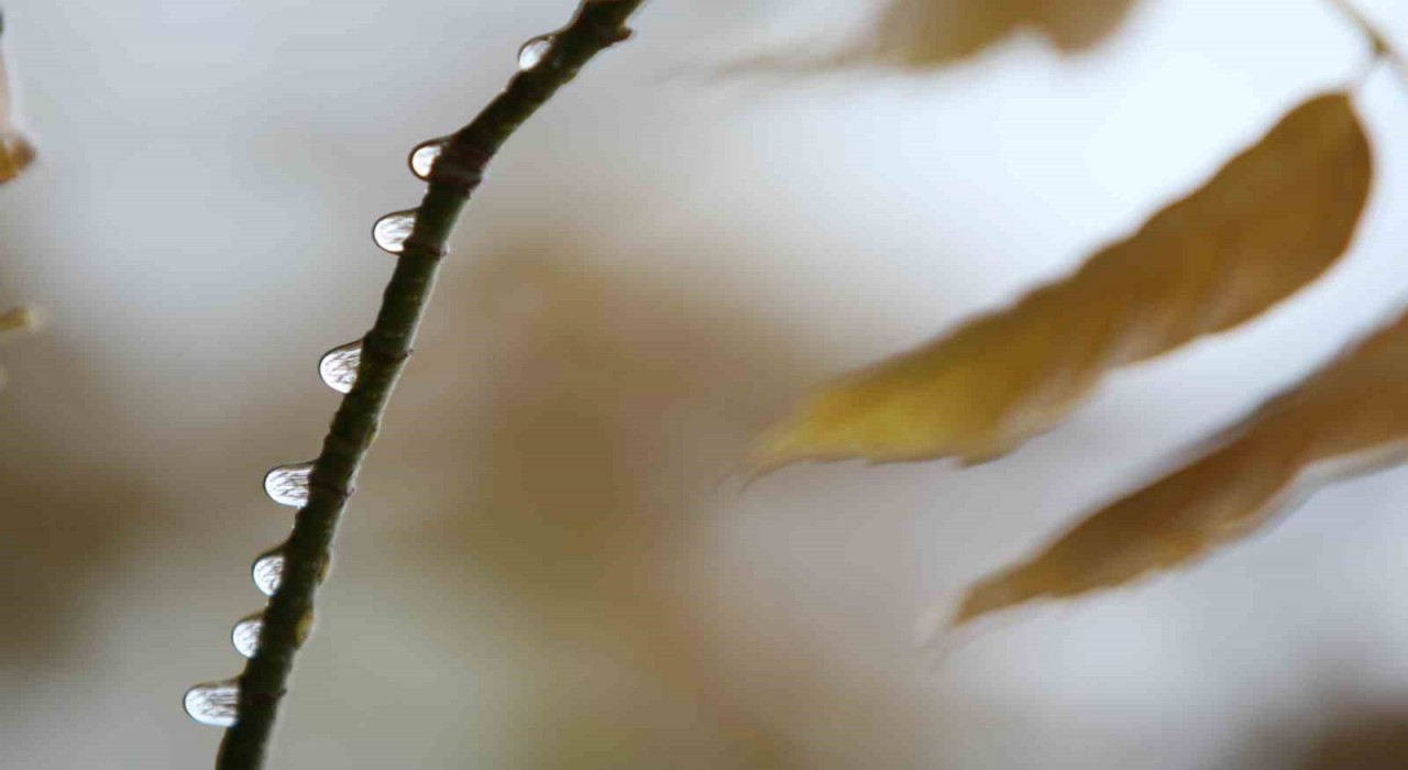 Bursada 2 günlük yağışlar ekim ayını kurtardı