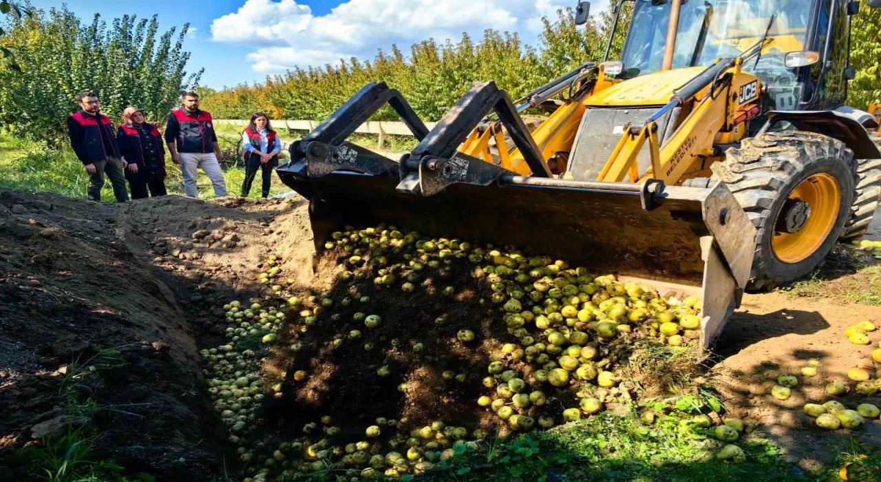 Bursada pestisite geçit yok