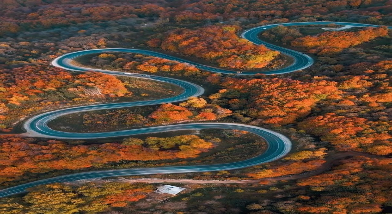Bursada sonbaharla ormanlara gelen renk cümbüşü