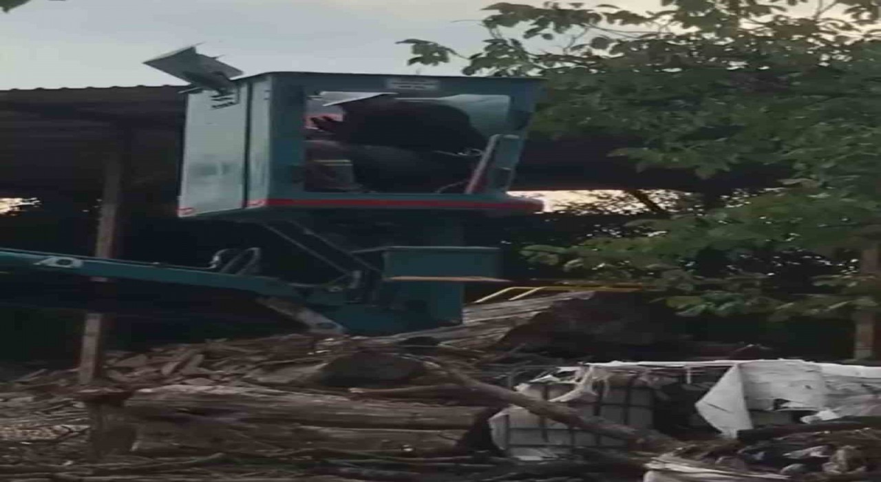 Bursada vinç üstünde arı alarmı