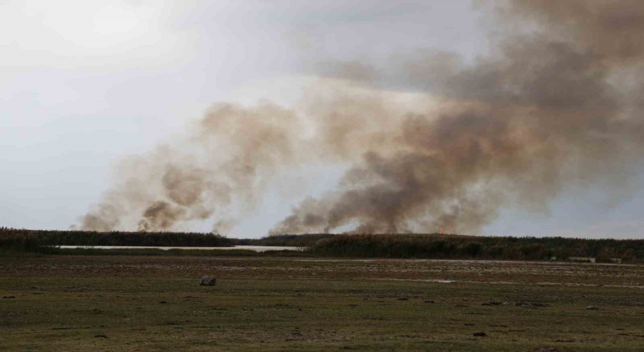 Büyük İron sazlığında yangın