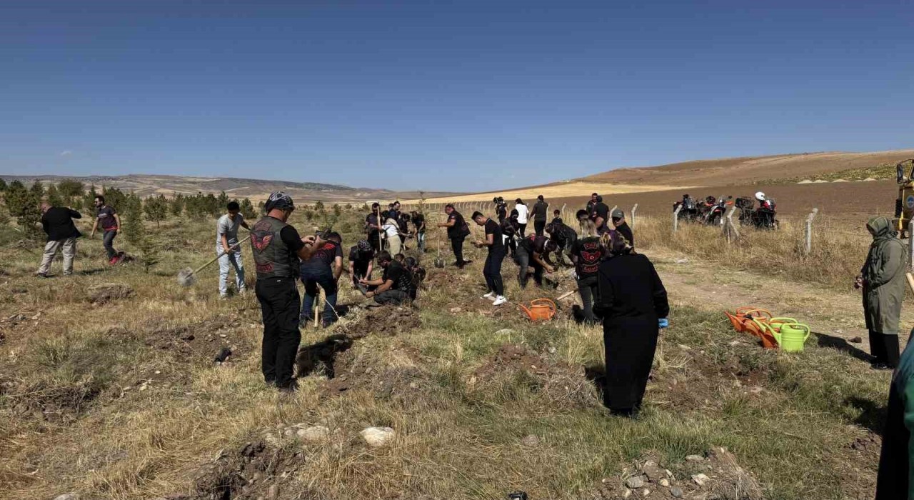 Büyükşehir, Sarımsaklıda bin 500 fidanı toprakla buluşturdu