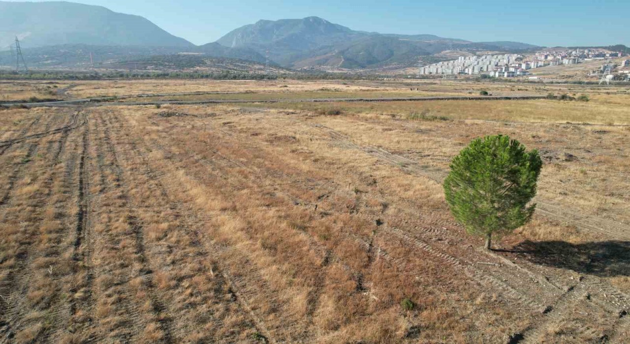 BYDnin Manisadaki fabrika sahasında sessizlik sürüyor