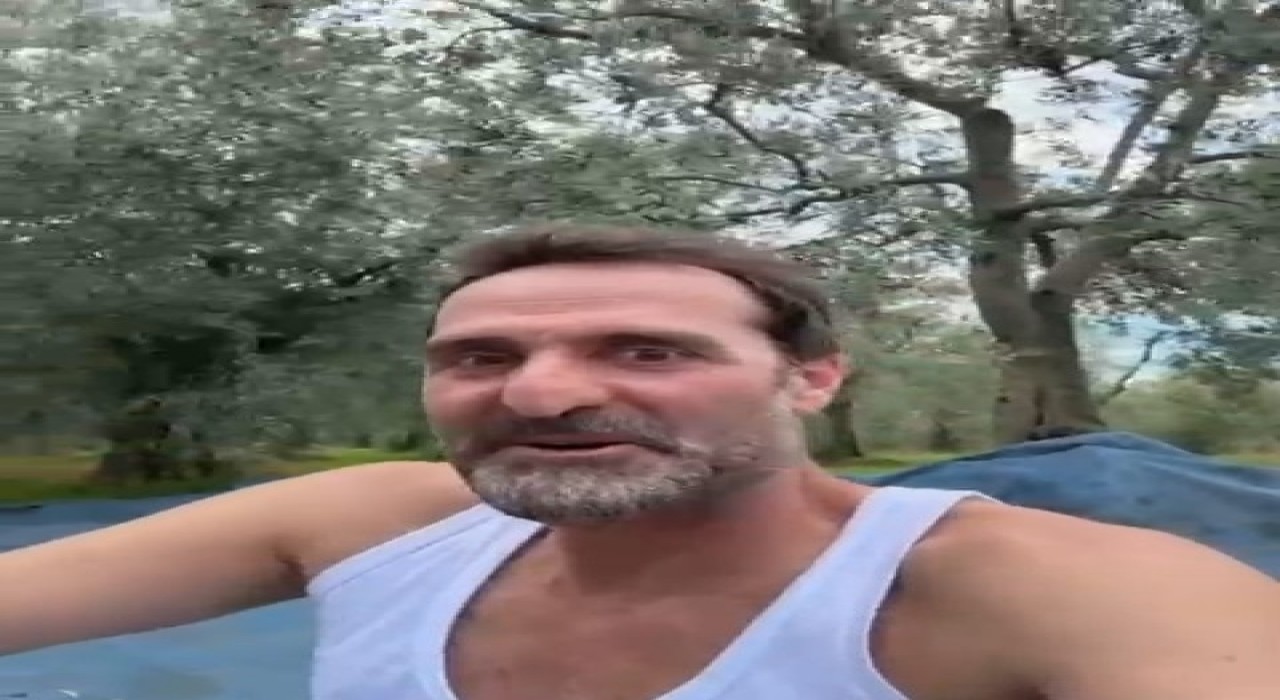 Çakallarla Dansın Köfte Necmisi ilk zeytin hasadını yaptı