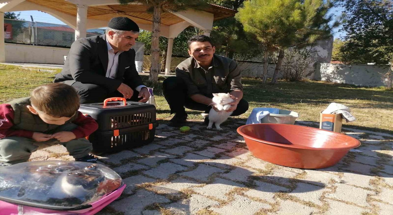 Cami imamı onlarca kediye bakıyor