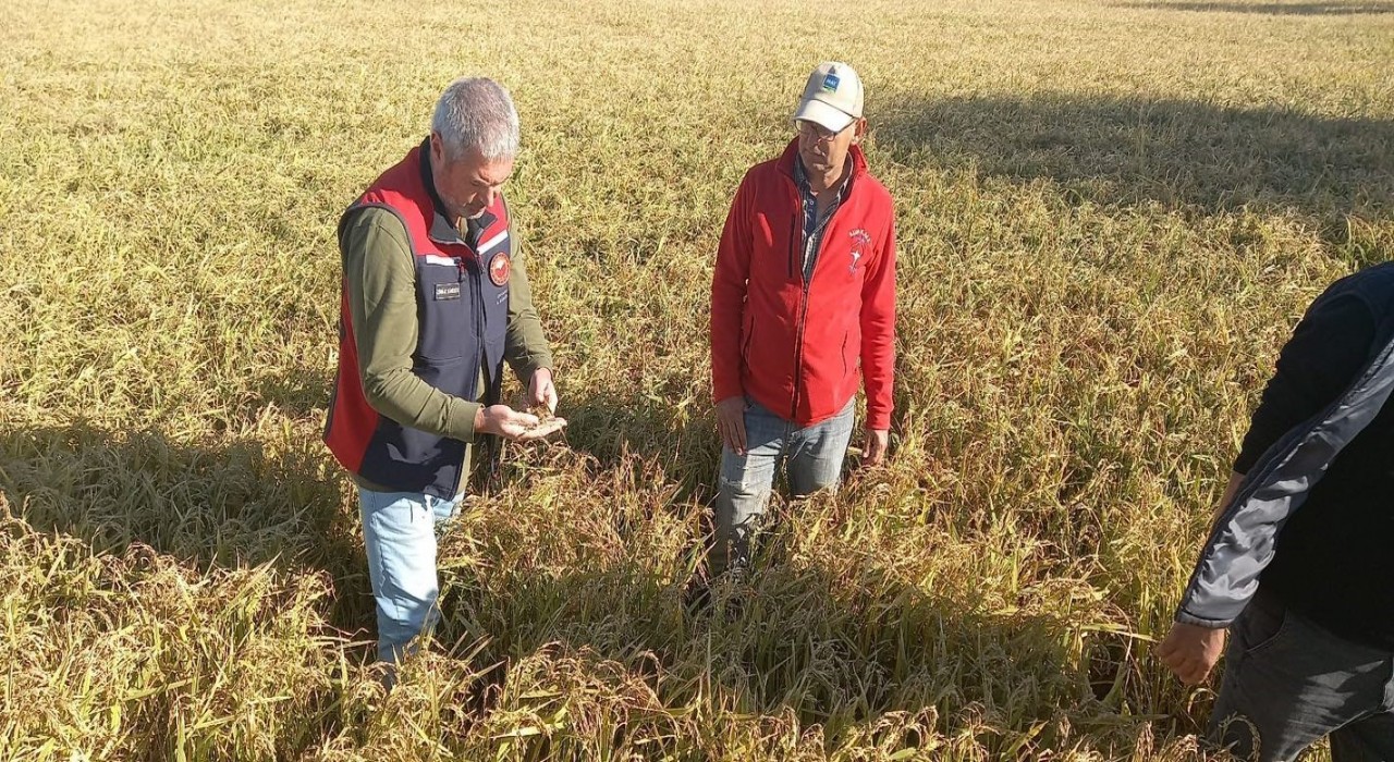 Çanakkalede dolunun ardından bahçelerde hasar tespit çalışmaları başladı